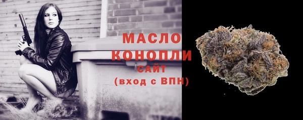 спиды Богородск