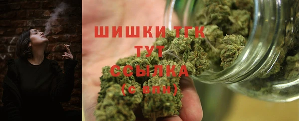 амф Богородицк