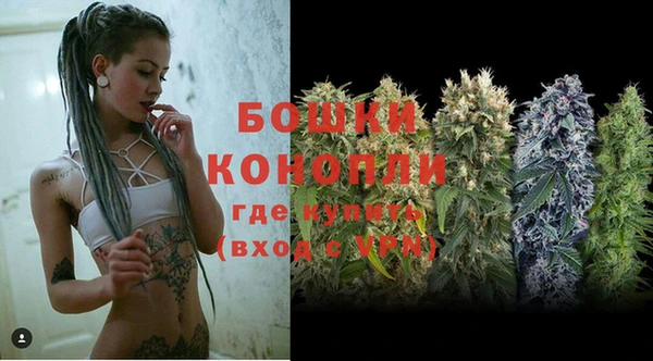 спиды Богородск