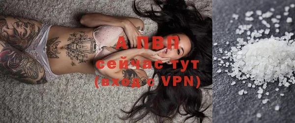 jwh Богданович