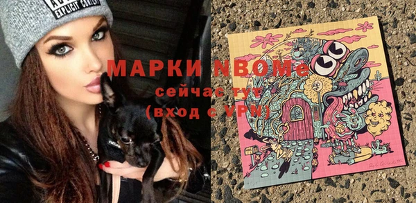спиды Богородск