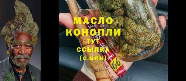 амф Богородицк