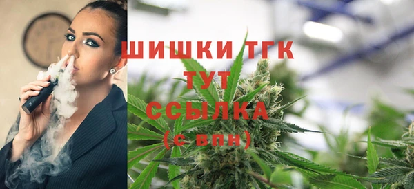 спиды Богородск