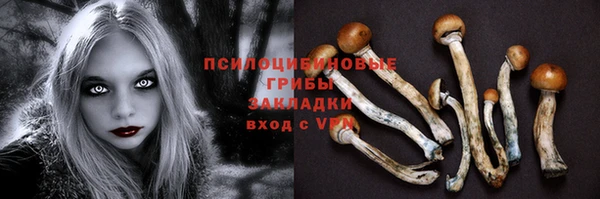 jwh Богданович