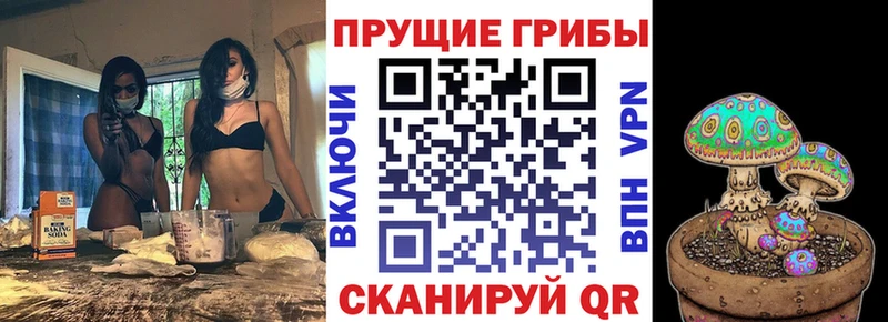 Псилоцибиновые грибы мицелий  Краснознаменск 