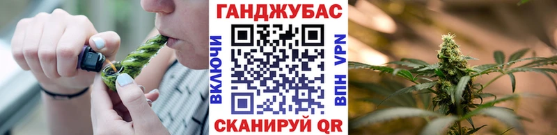мега   Краснознаменск  Бошки марихуана планчик 